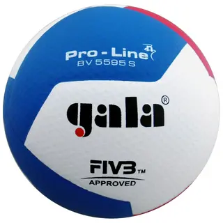 Volleyball Gala Pro Line BV5595S Str. 5 | Matchball FIVB