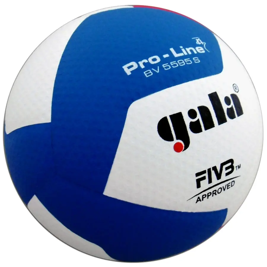 Volleyball Gala Pro Line BV5595S Str. 5 | Matchball FIVB 