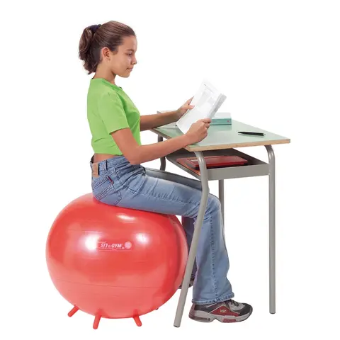 Sitteballer Sit`n Gym 55 cm R&#248;d (12) 12 popul&#230;re sitteballer