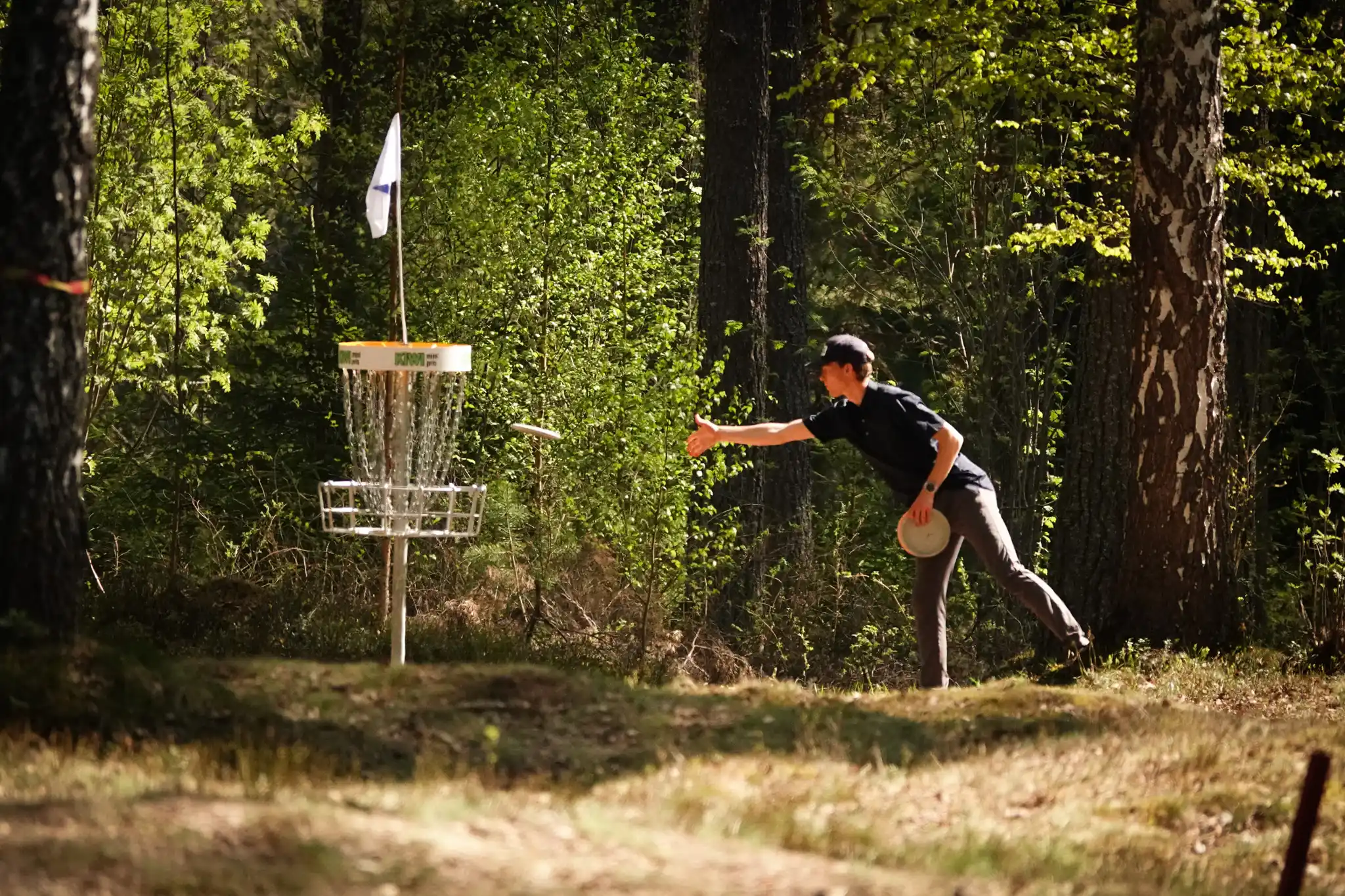 Glade barn spiller frisbeegolf ute i sola